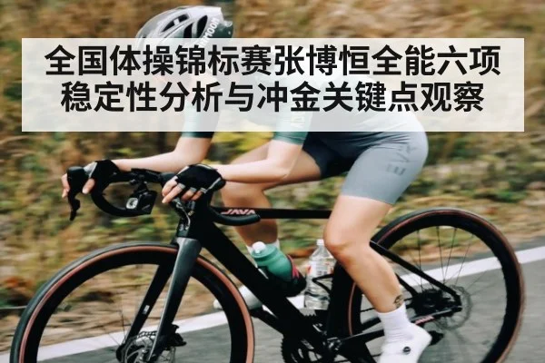 全国体操锦标赛张博恒全能六项稳定性分析与冲金关键点观察