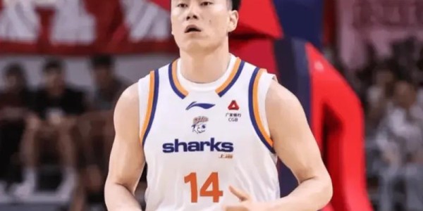皇冠体育-CBA最佳阵容3人成大赢家！李弘权逐步提升，庞峥麟+徐昕获认可！